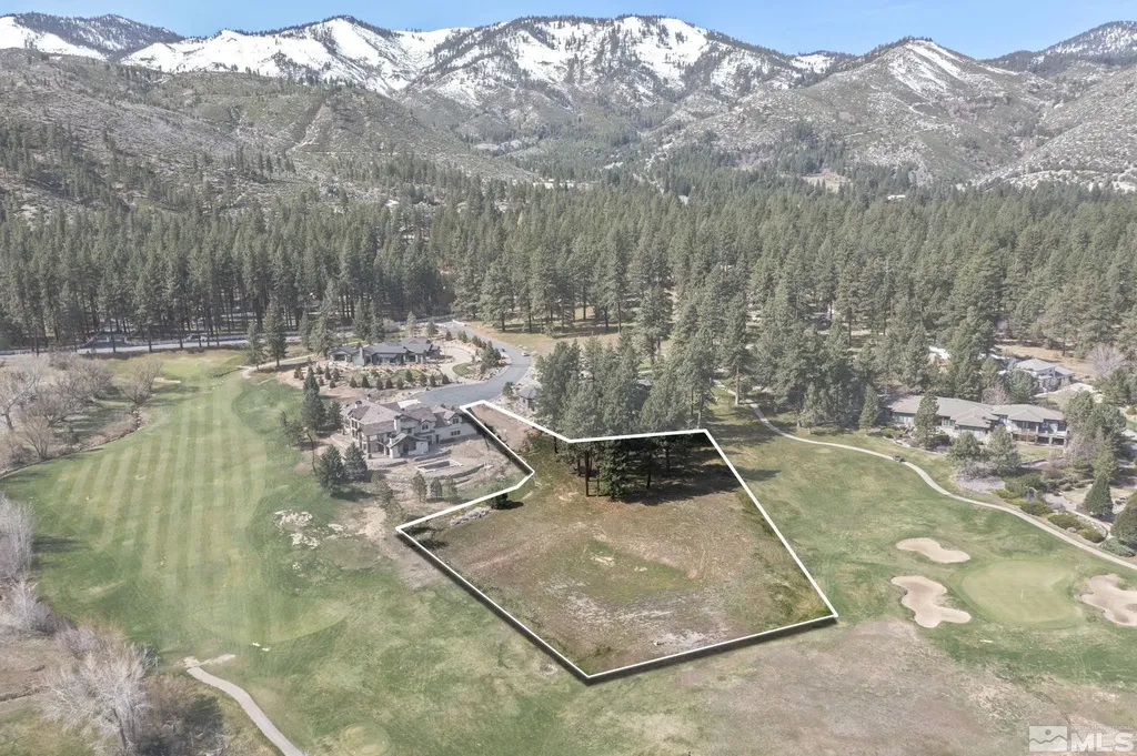 6 Pine Mesa Washoe Valley NV 89704