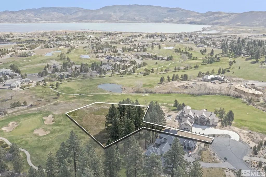 6 Pine Mesa Washoe Valley NV 89704