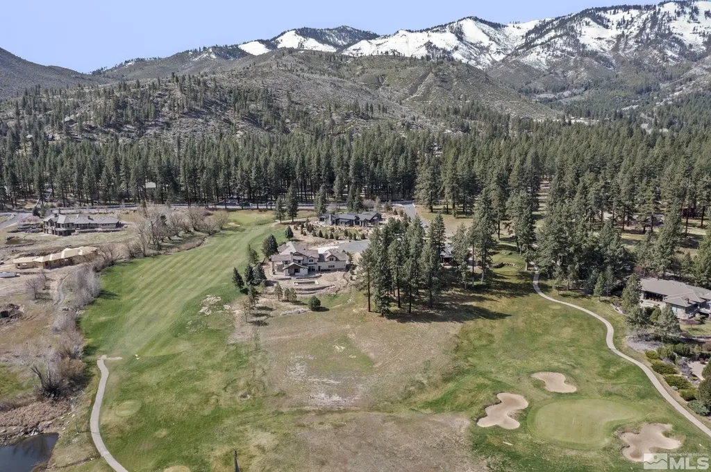 6 Pine Mesa Washoe Valley NV 89704