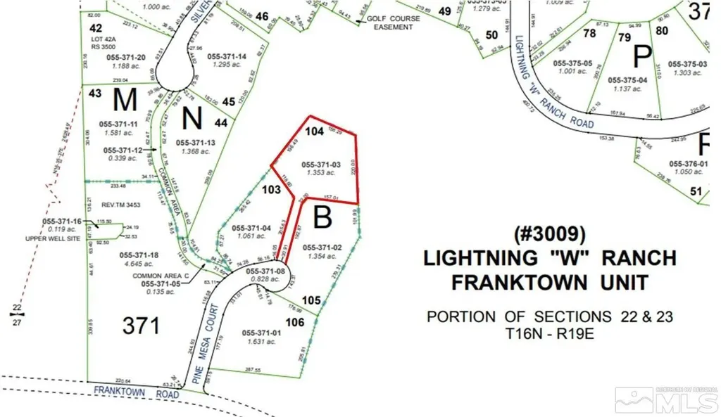 6 Pine Mesa Washoe Valley NV 89704