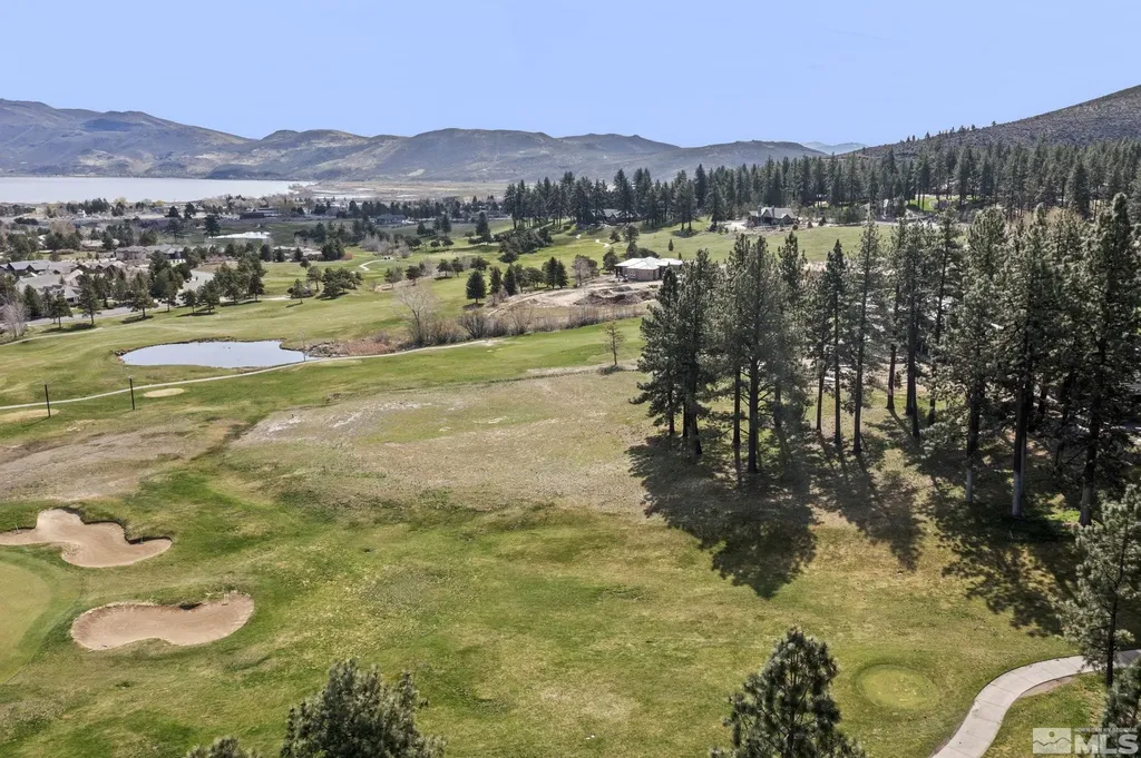 6 Pine Mesa Washoe Valley NV 89704
