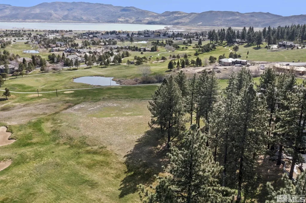 6 Pine Mesa Washoe Valley NV 89704