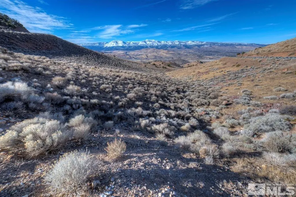 Apn 01676229 Geiger Grade Reno NV 89521