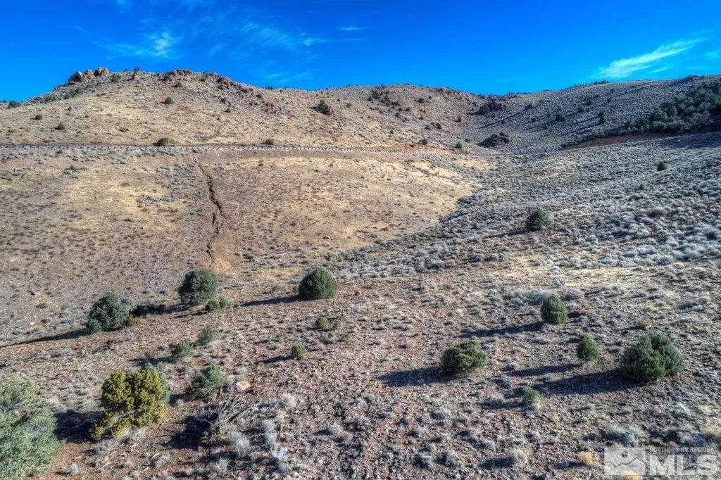 Apn 01676229 Geiger Grade Reno NV 89521