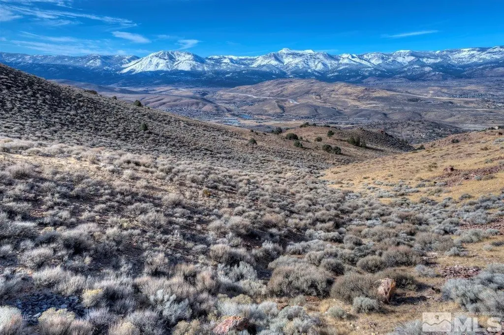 Apn 01676229 Geiger Grade Reno NV 89521