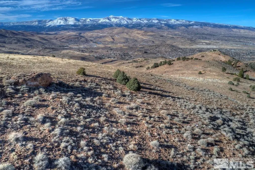 Apn 01676229 Geiger Grade Reno NV 89521