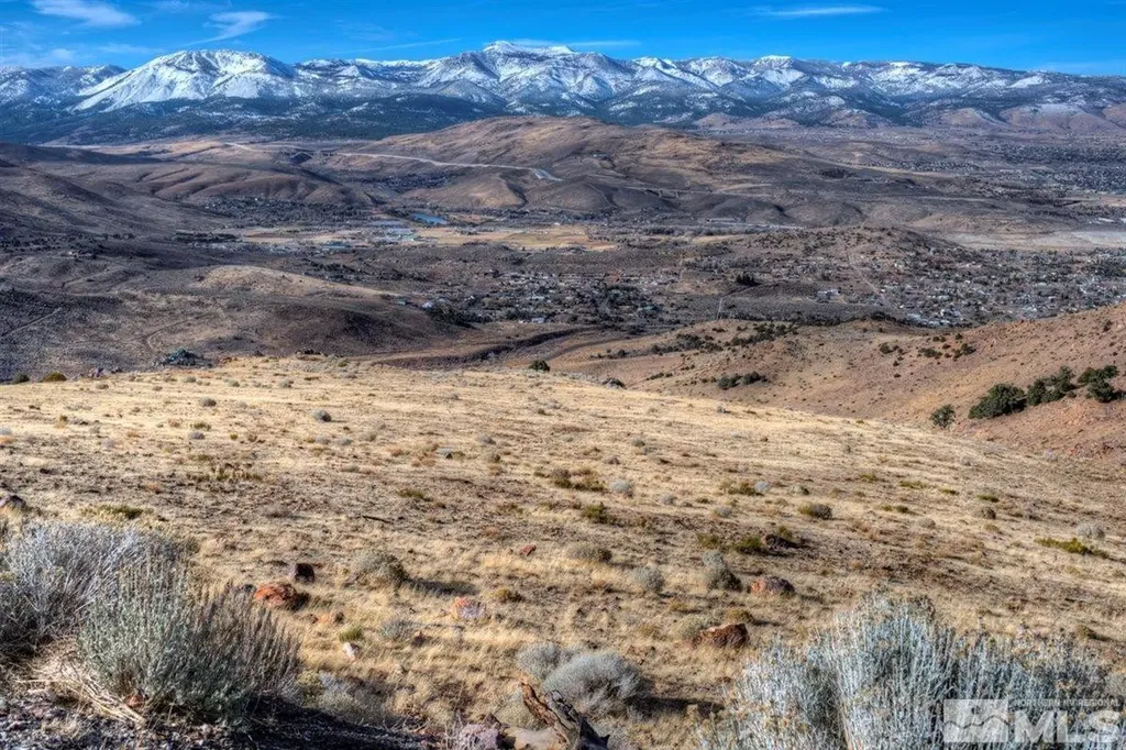 Apn 01676229 Geiger Grade Reno NV 89521