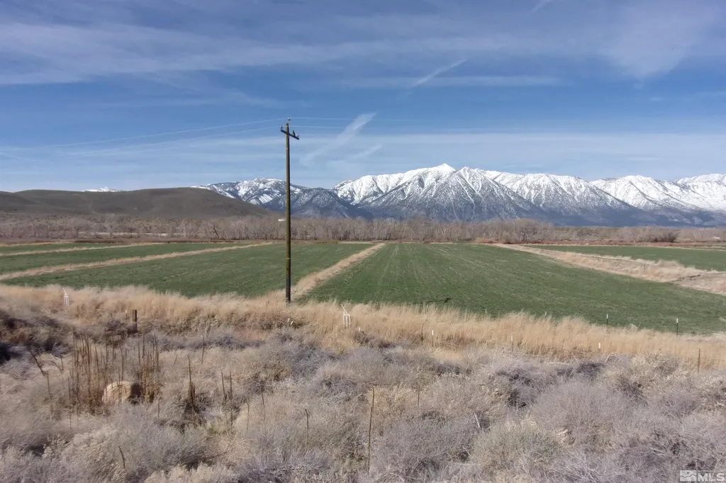 700 Highway 395 Gardnerville NV 89410