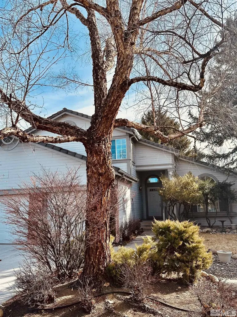 1030 Riverberry Reno NV 89509