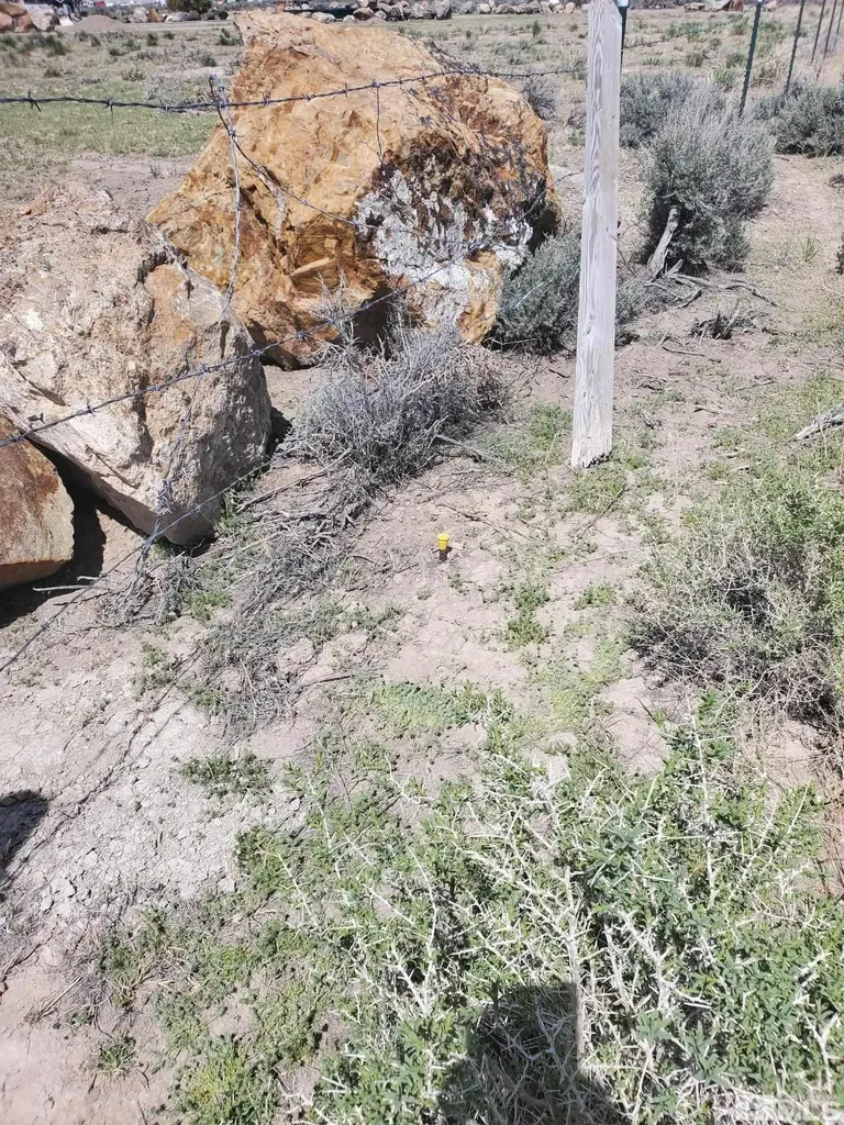 009-040-21 Muddy Winnemucca NV 89445
