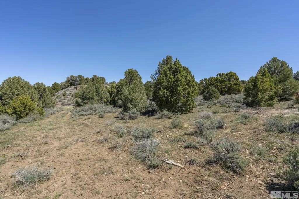 1850 Lousetown Reno NV 89521