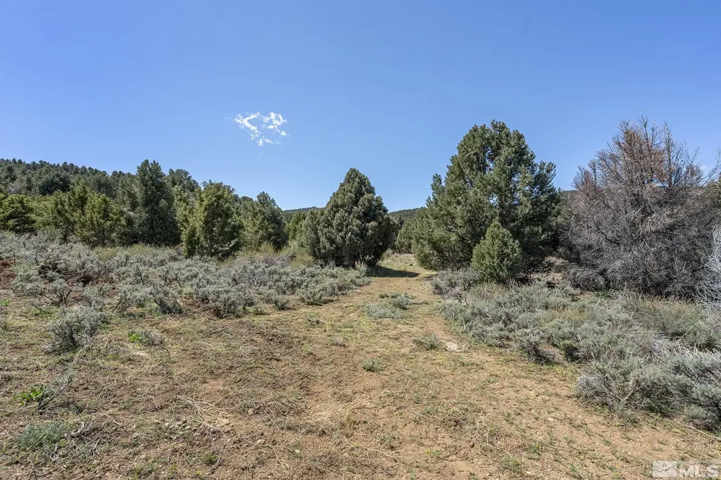 1850 Lousetown Reno NV 89521