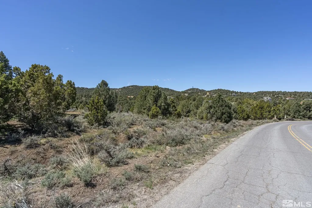 1850 Lousetown Reno NV 89521