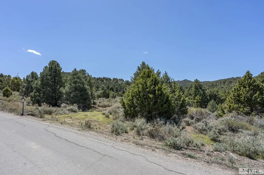 1850 Lousetown Reno NV 89521