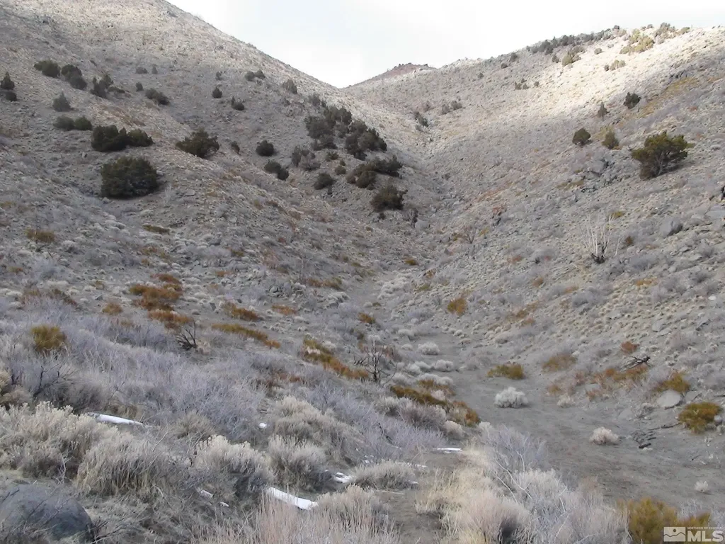 1265 Freds Mountain Reno NV 89508
