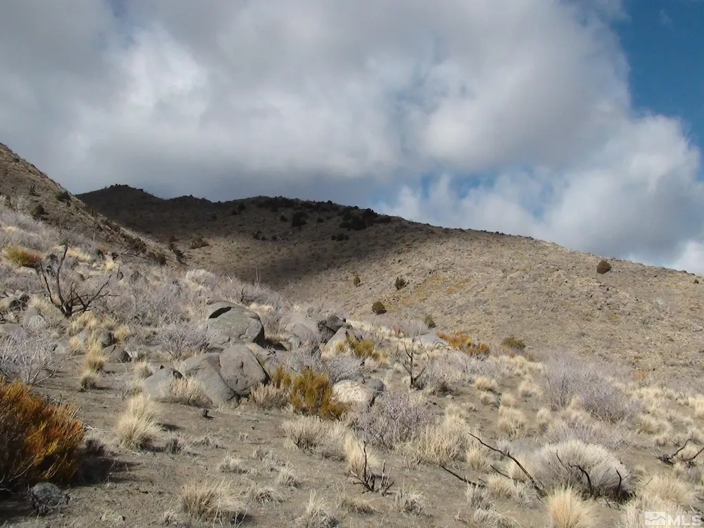 1265 Freds Mountain Reno NV 89508