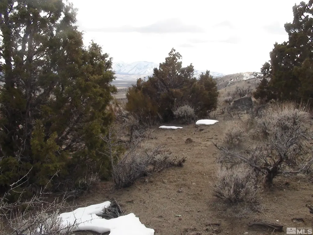 1265 Freds Mountain Reno NV 89508