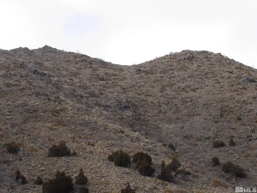 1265 Freds Mountain Reno NV 89508