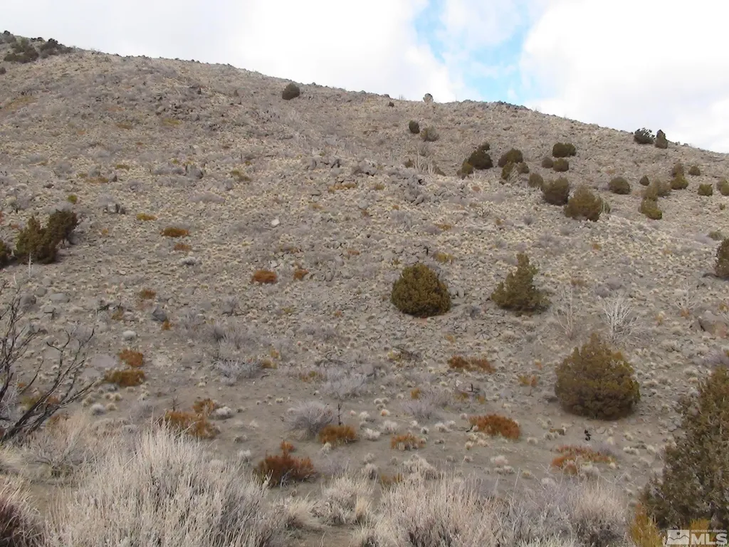 1265 Freds Mountain Reno NV 89508
