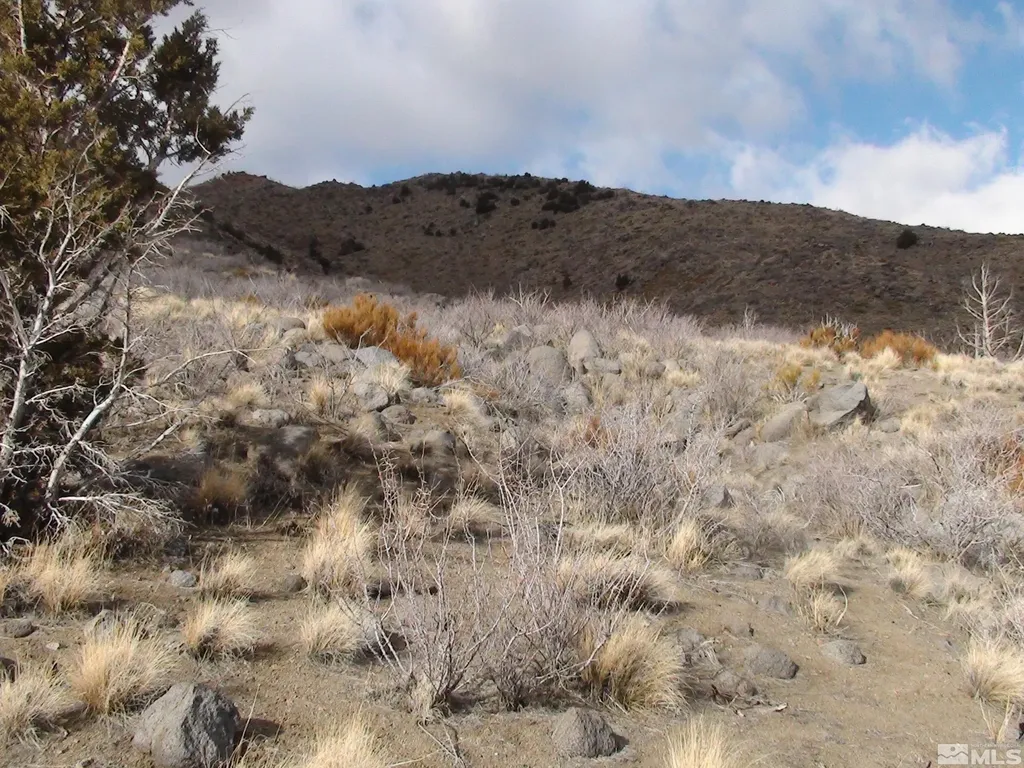 1265 Freds Mountain Reno NV 89508