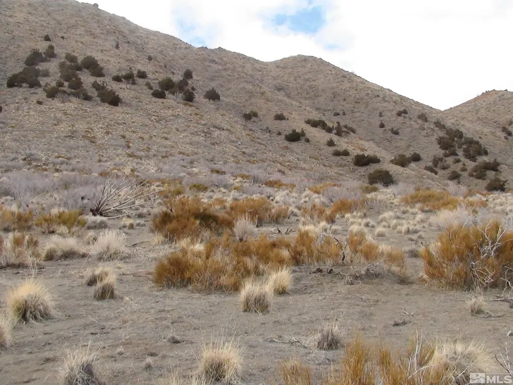 1265 Freds Mountain Reno NV 89508