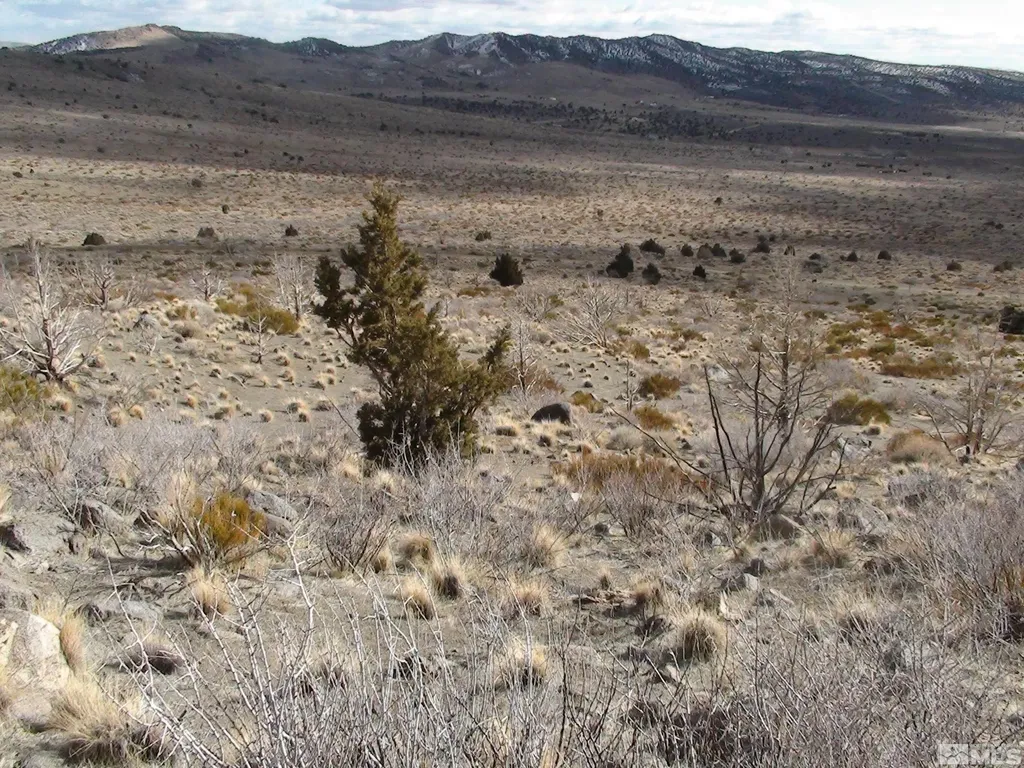 1265 Freds Mountain Reno NV 89508