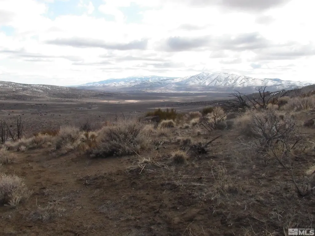 1265 Freds Mountain Reno NV 89508