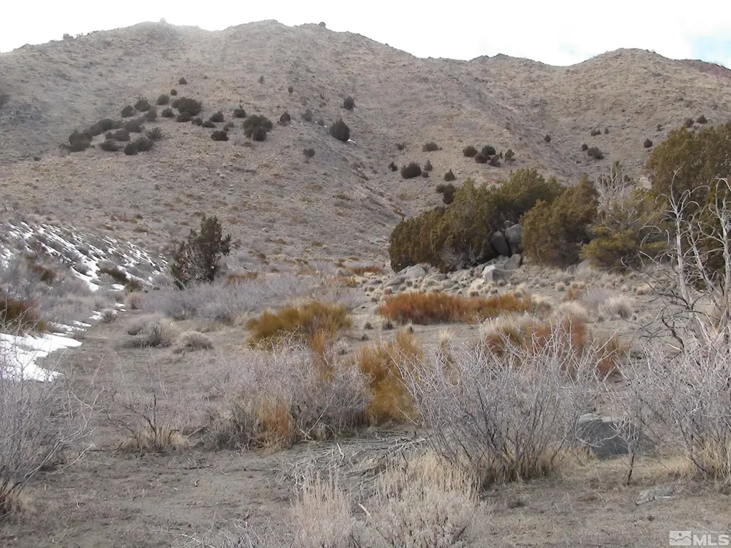 1265 Freds Mountain Reno NV 89508