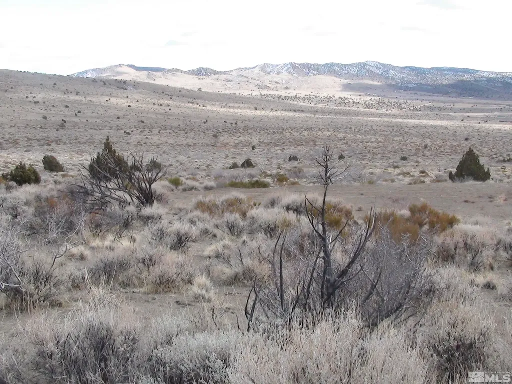 1265 Freds Mountain Reno NV 89508