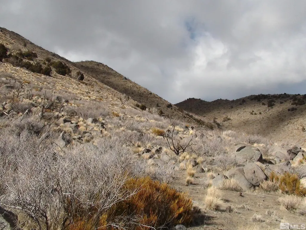 1265 Freds Mountain Reno NV 89508