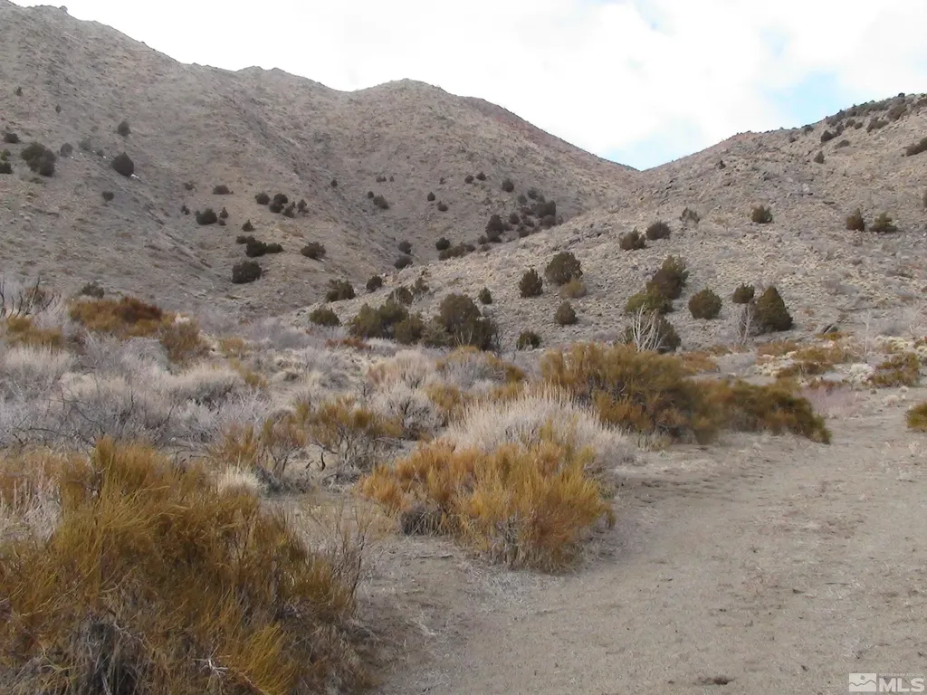1265 Freds Mountain Reno NV 89508