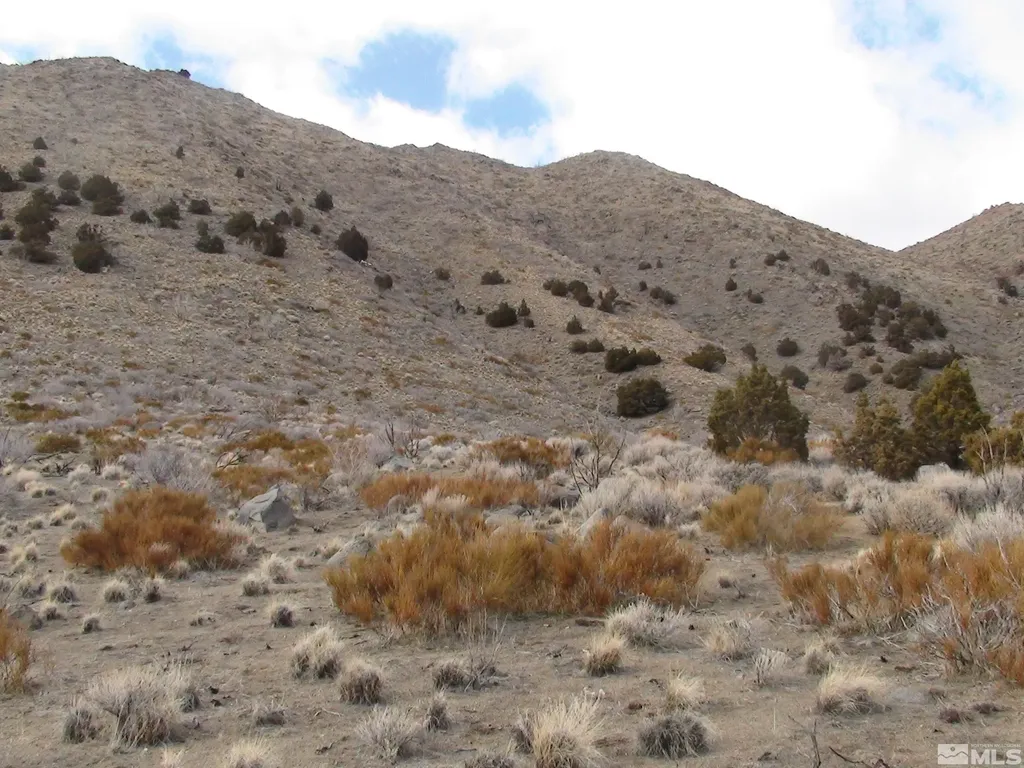 1265 Freds Mountain Reno NV 89508