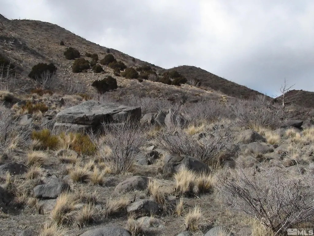 1265 Freds Mountain Reno NV 89508