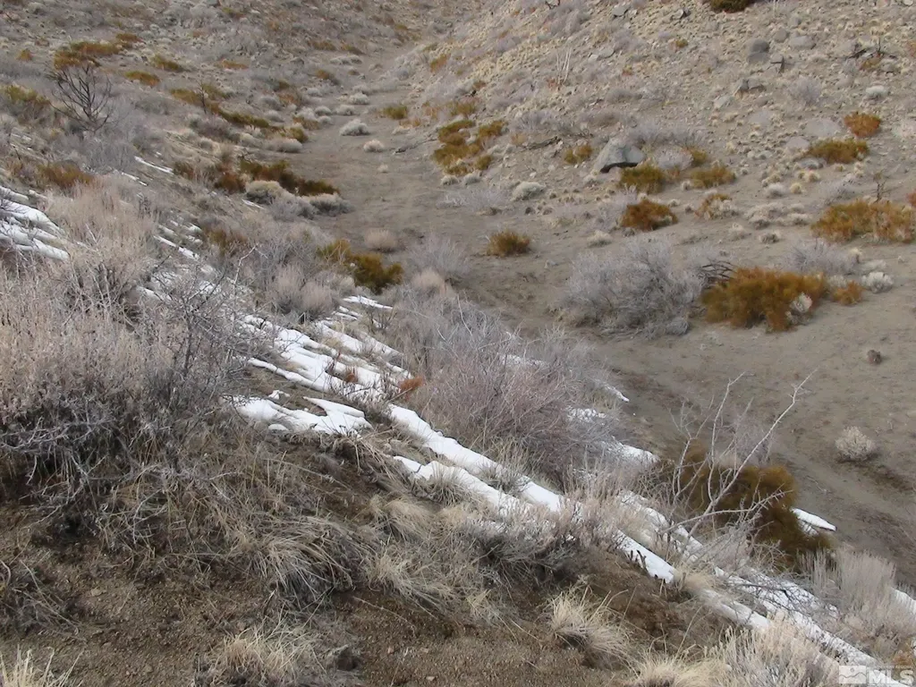 1265 Freds Mountain Reno NV 89508