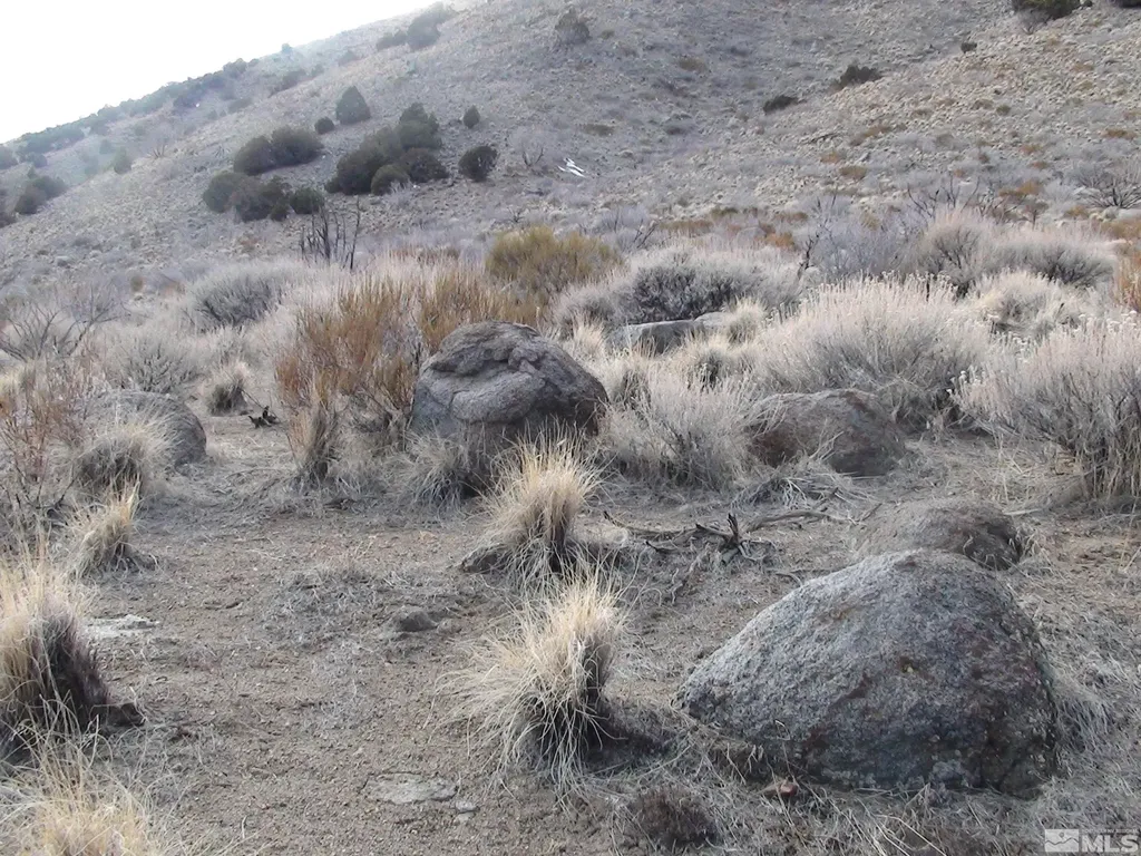 1265 Freds Mountain Reno NV 89508