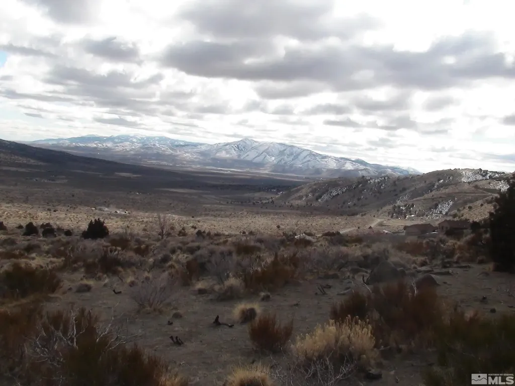 1265 Freds Mountain Reno NV 89508
