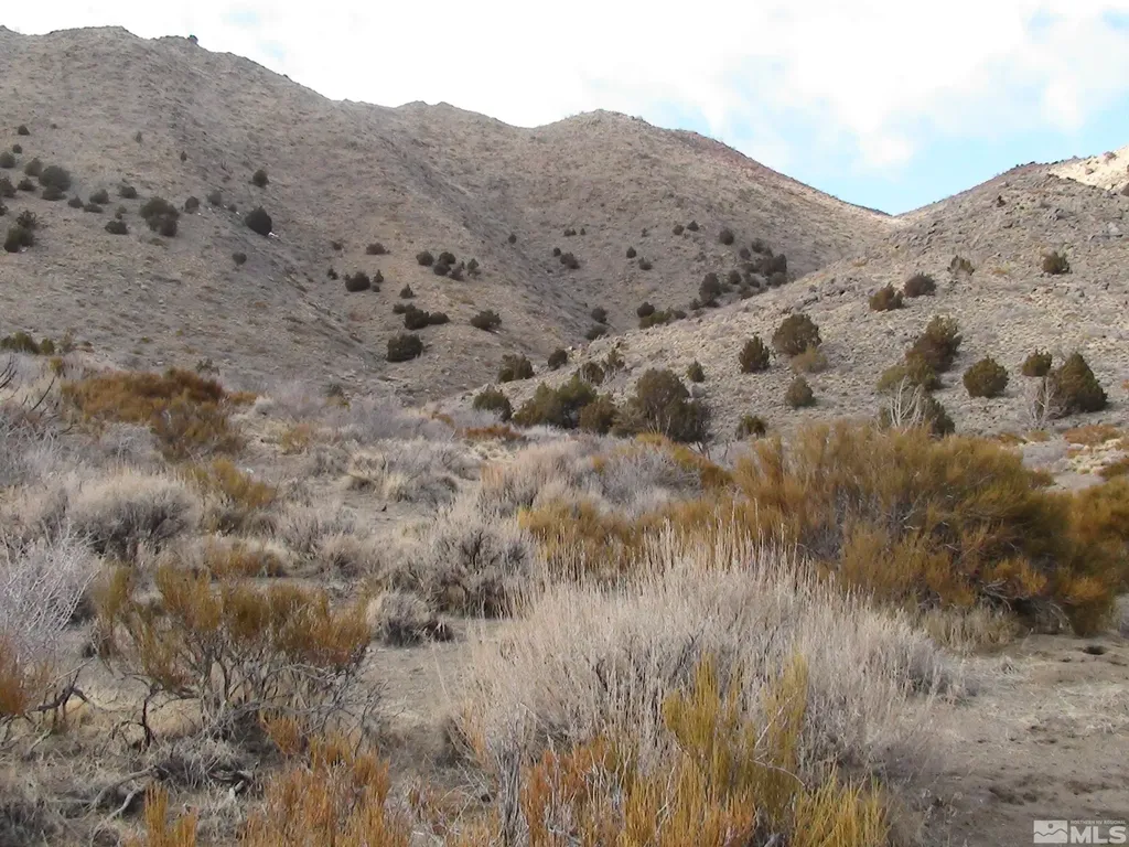 1265 Freds Mountain Reno NV 89508