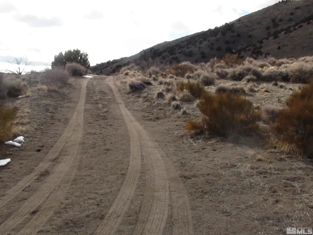 1265 Freds Mountain Reno NV 89508