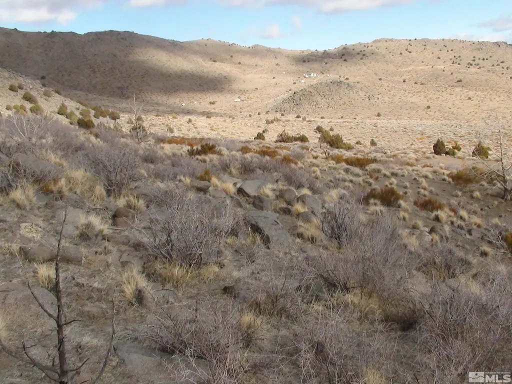 1265 Freds Mountain Reno NV 89508