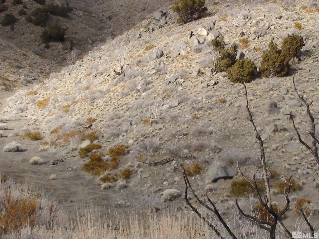 1265 Freds Mountain Reno NV 89508