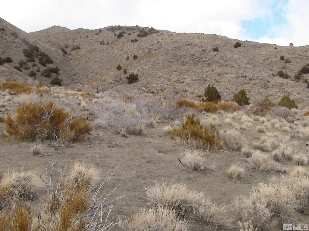 1265 Freds Mountain Reno NV 89508