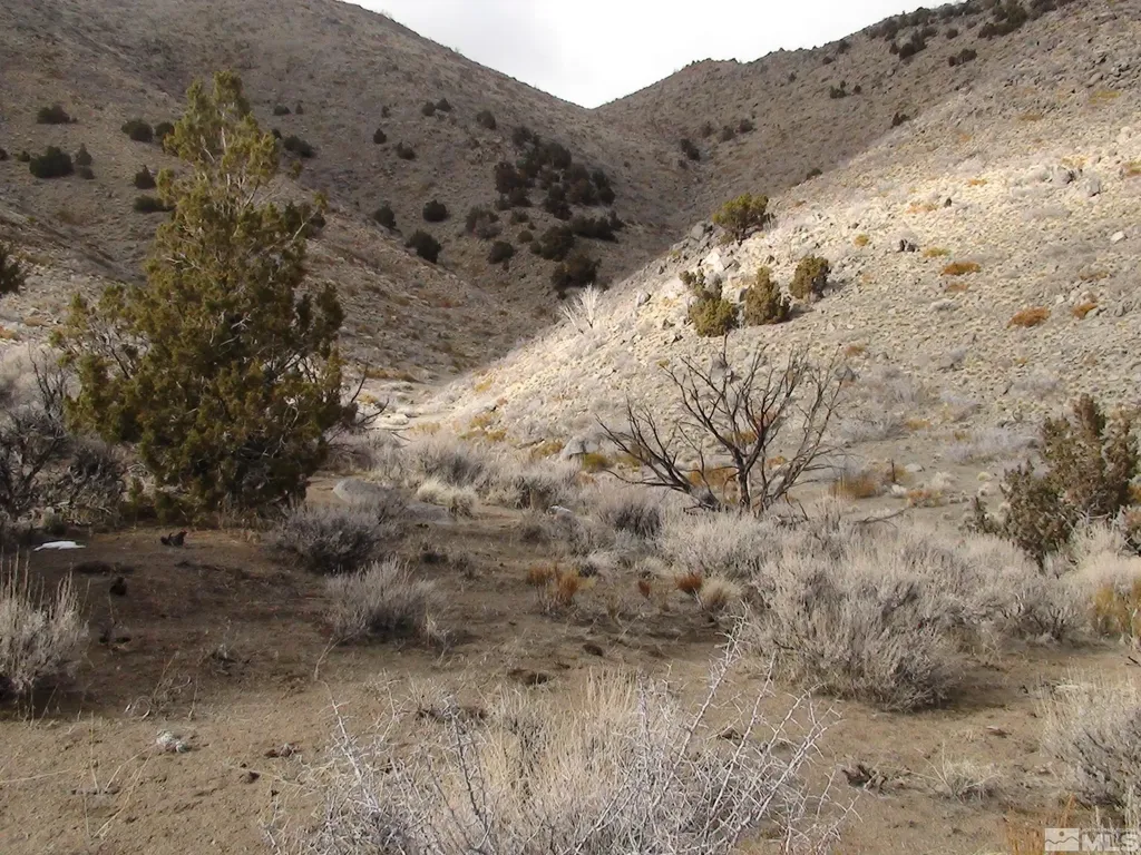 1265 Freds Mountain Reno NV 89508