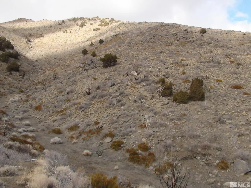1265 Freds Mountain Reno NV 89508
