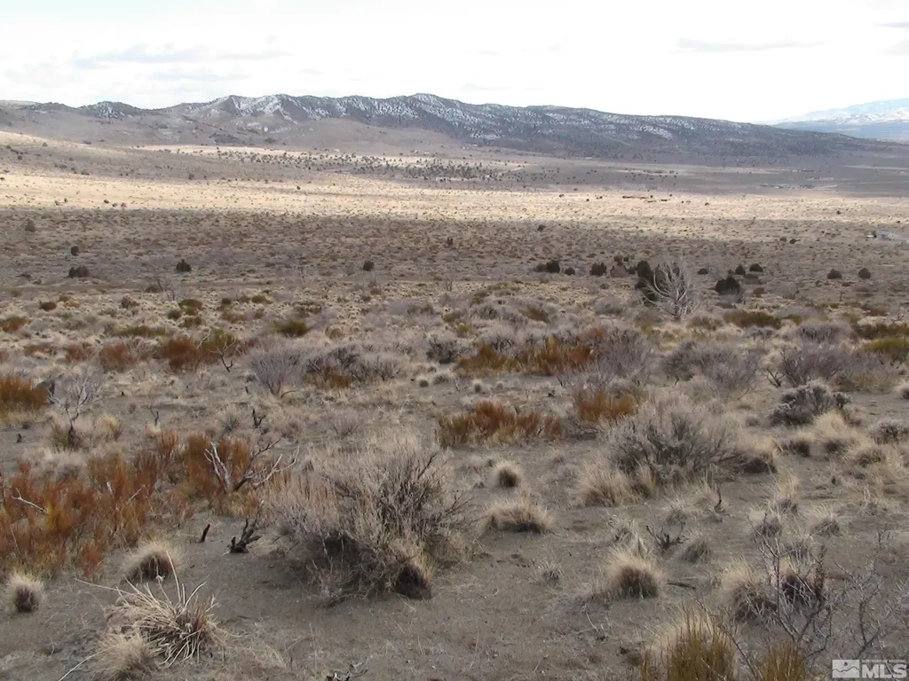 1265 Freds Mountain Reno NV 89508