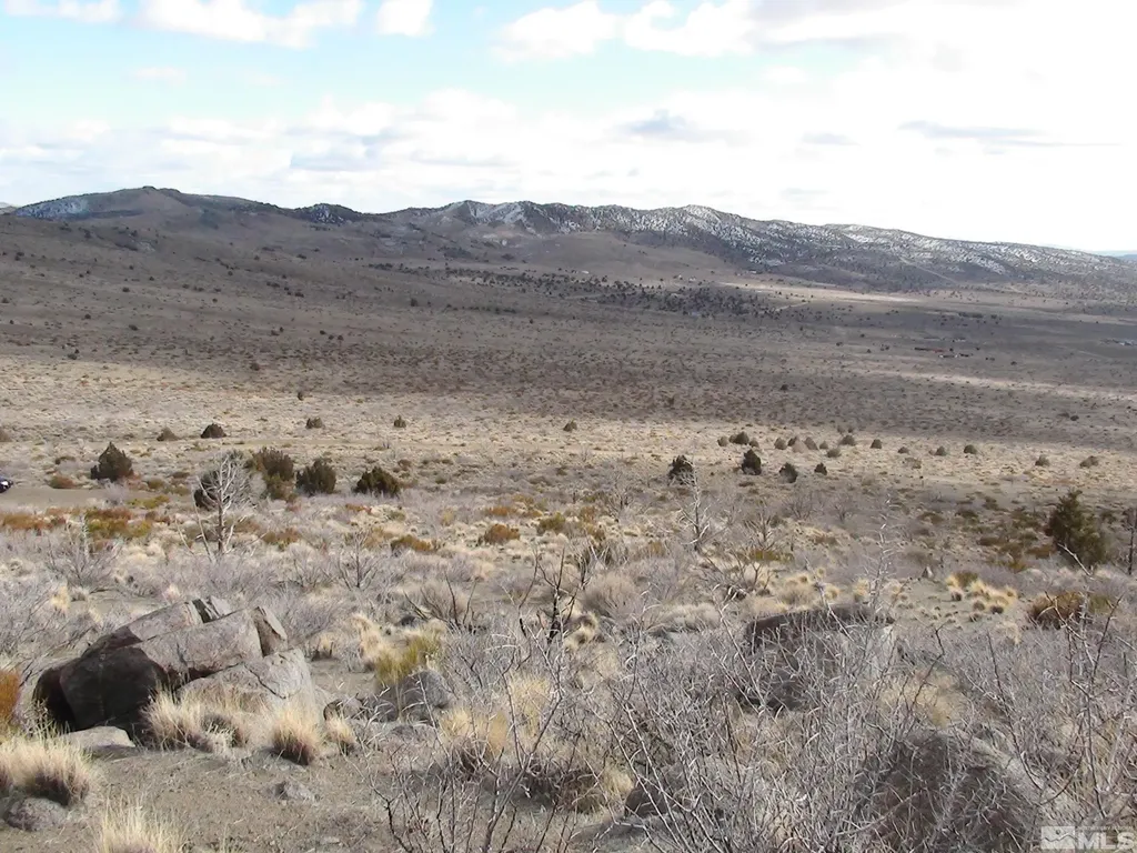 1265 Freds Mountain Reno NV 89508