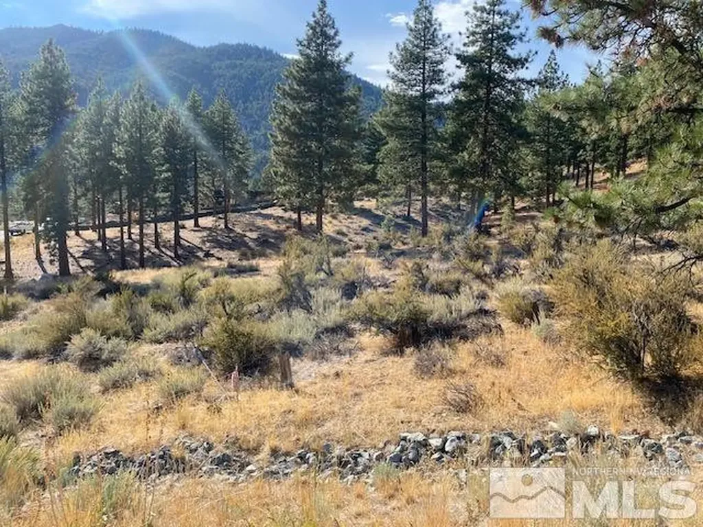 196 Scenic Range Carson City NV 89705