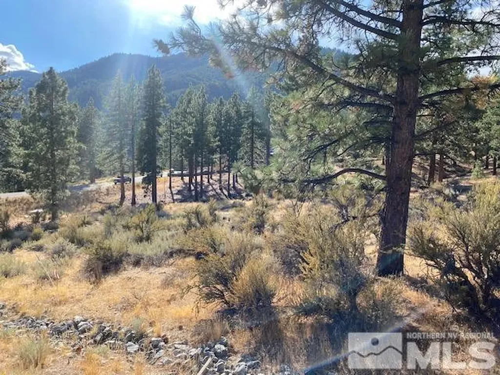 196 Scenic Range Carson City NV 89705