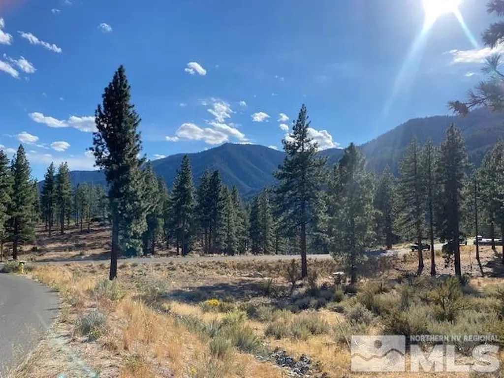 196 Scenic Range Carson City NV 89705