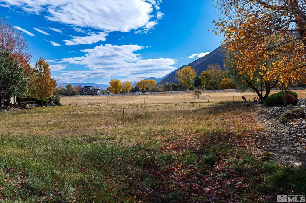 275 Genoa Highlands Genoa NV 89411