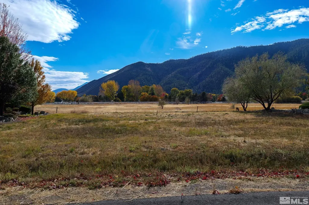 275 Genoa Highlands Genoa NV 89411